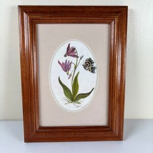 VTG Framed Butterfly‎ Botanical Watercolor Painting Feather Wings Oval Signed